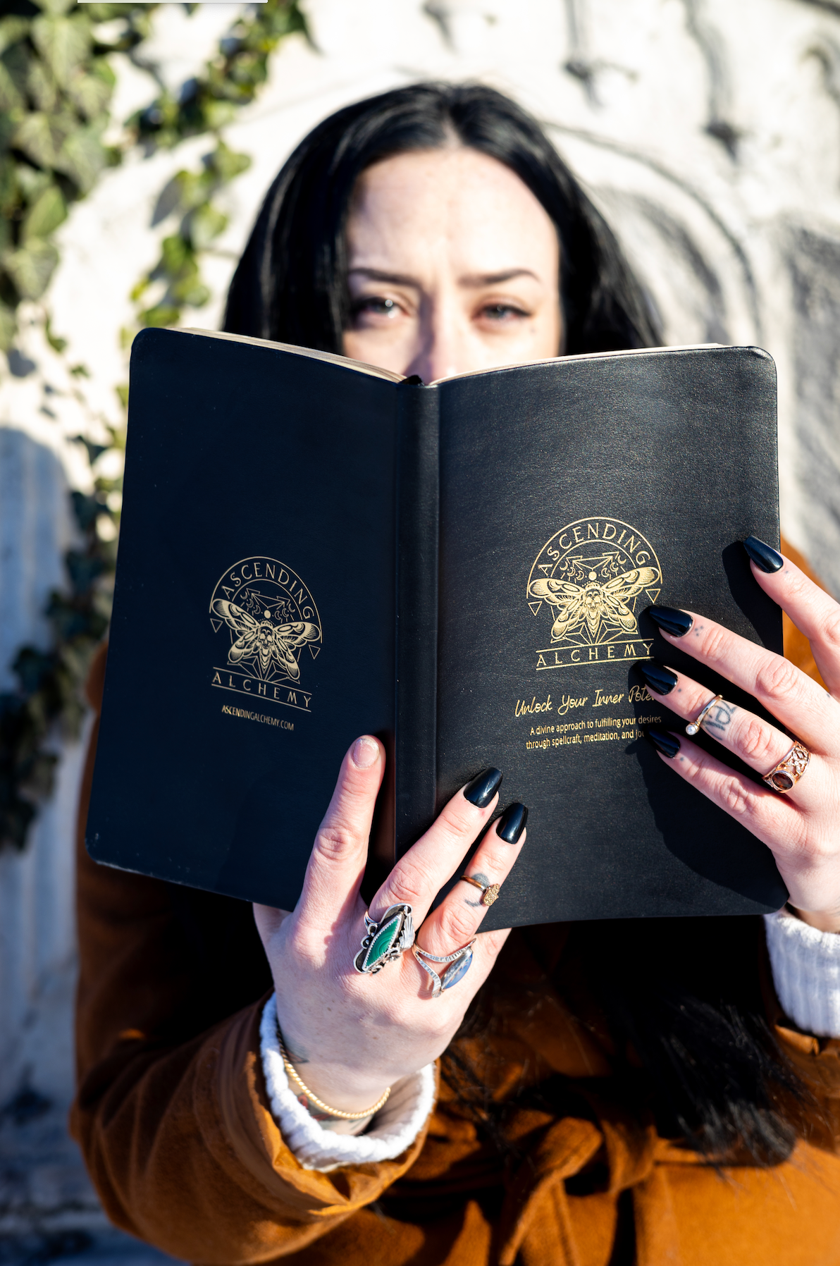 Ascending Alchemy Spellbook and Journal