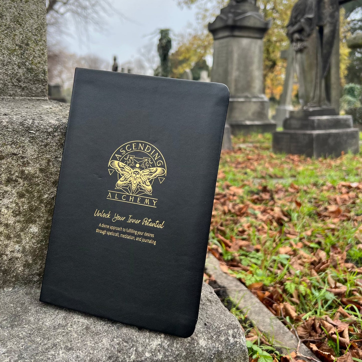 Ascending Alchemy Spellbook and Journal