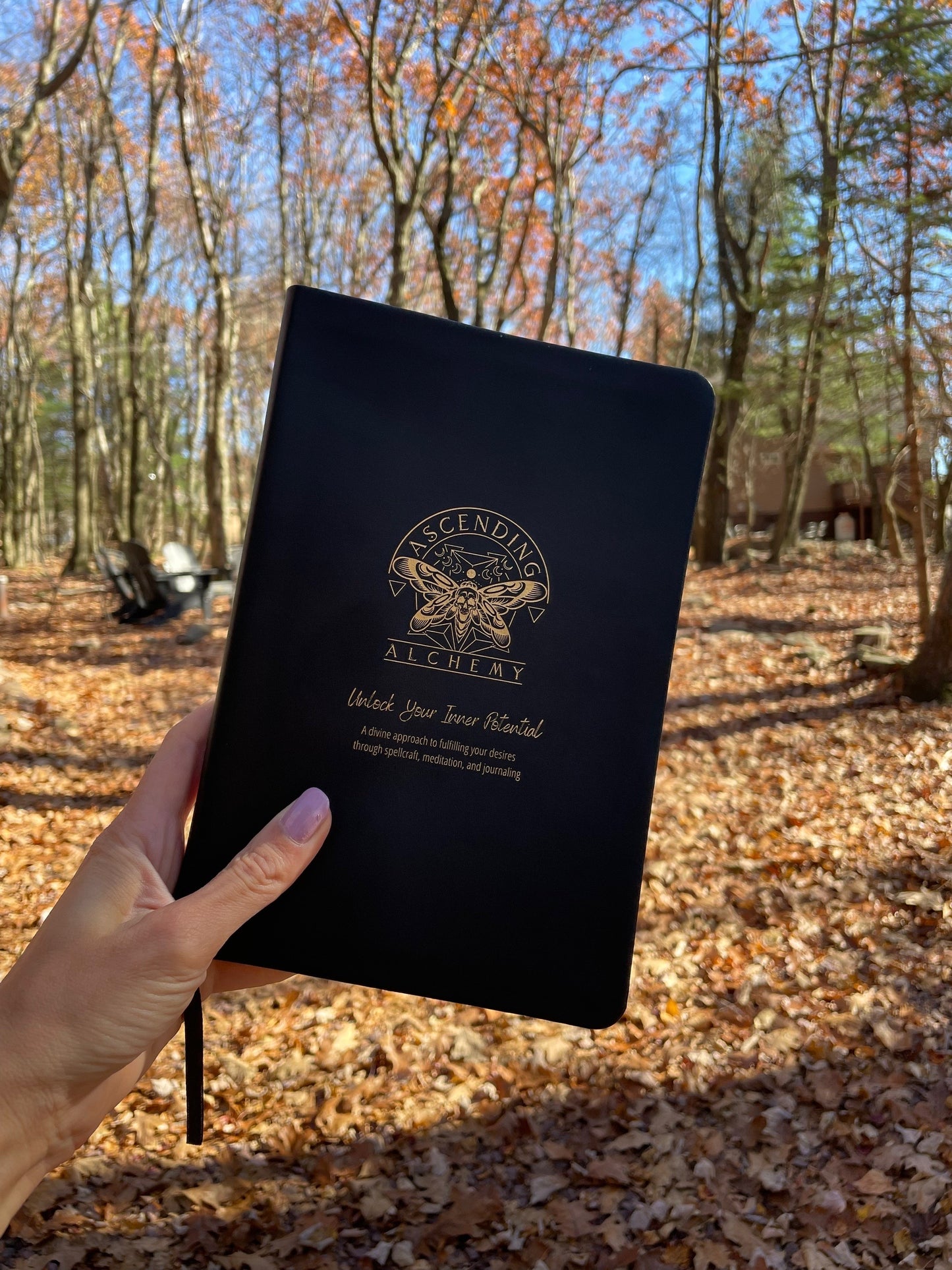 Ascending Alchemy Spellbook and Journal