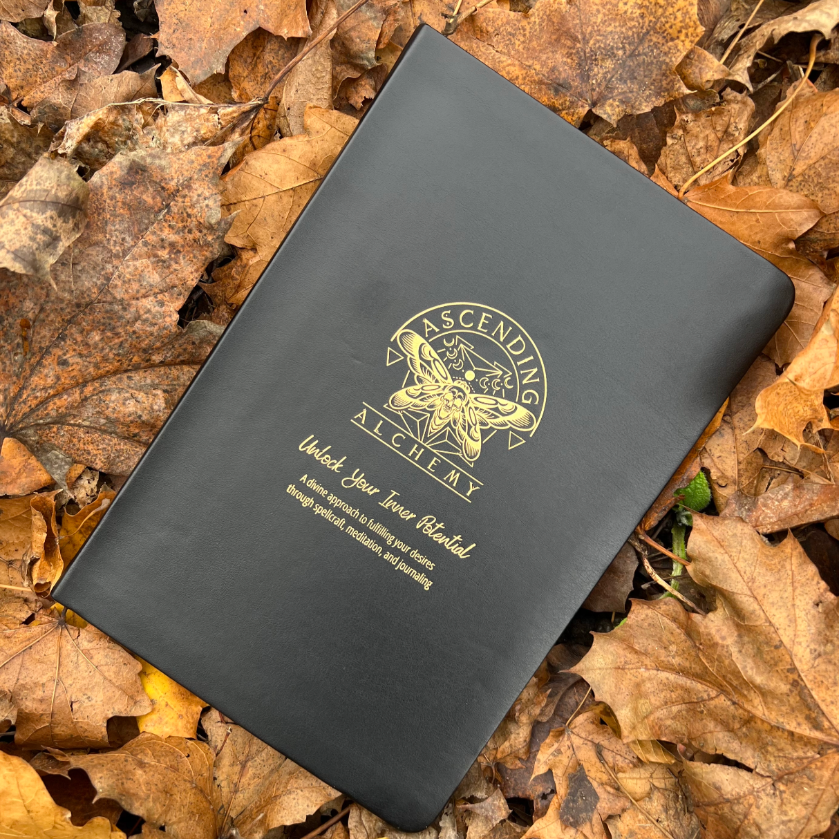 Ascending Alchemy Spellbook and Journal